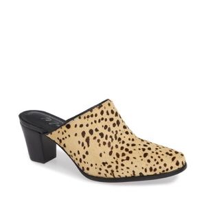 NEW Matisse Commodore Leopard Mule